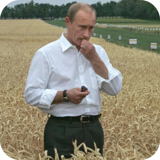 🔥 Стикер «Putin» для Telegram