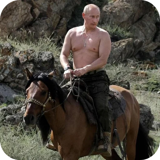 🐎 Стикер «Putin» для Telegram