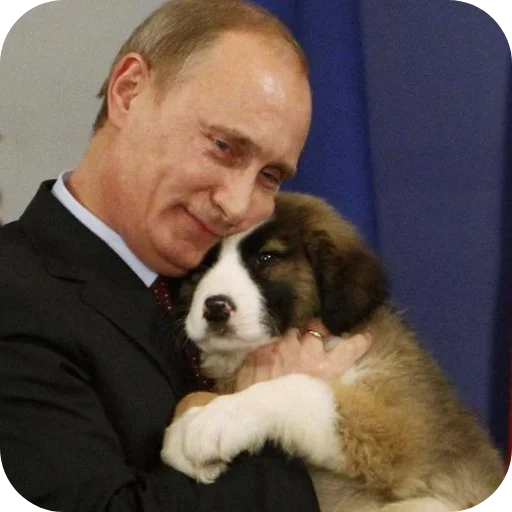 🐶 Стикер «Putin» для Telegram