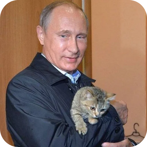 🐱 Стикер «Putin» для Telegram