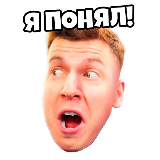 Стикерпак ВЛАДУС Роблокс для Telegram