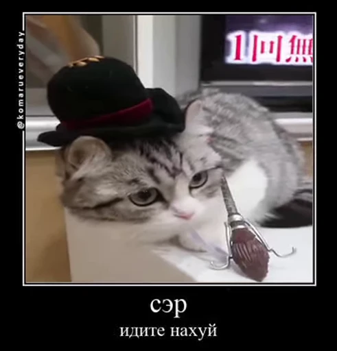 🤬 Стикер «Мемы и реакции» для Telegram