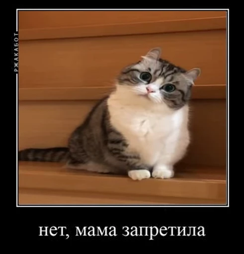 😶‍🌫️ Стикер «Мемы и реакции» для Telegram
