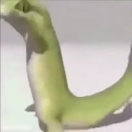 🦎 Стикер «Мемы и реакции» для Telegram