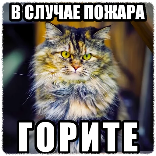 😡 Стикер «sticker buffer» для Telegram