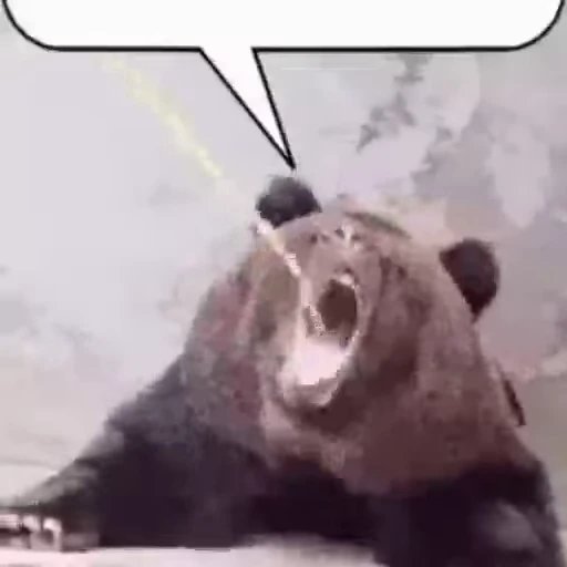 💬 Стикер «vocekkkkkkkkk» для Telegram