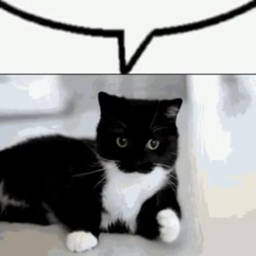 💬 Стикер «vocekkkkkkkkk» для Telegram