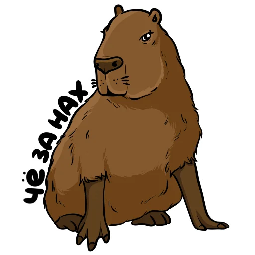 🧐 Стикер «Капи» для Telegram