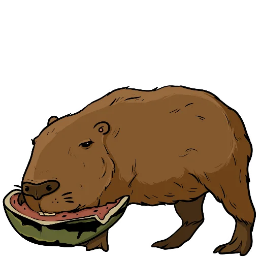 🍉 Стикер «Капи» для Telegram