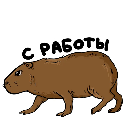 👈 Стикер «Капи» для Telegram