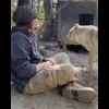 Стикер 41 Волчатко
