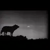 Стикер 10 Волчатко