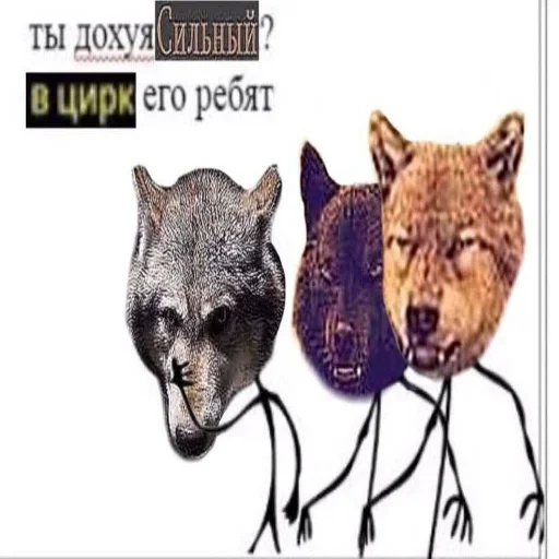 🤪 Стикер «Волчья Стая» для Telegram