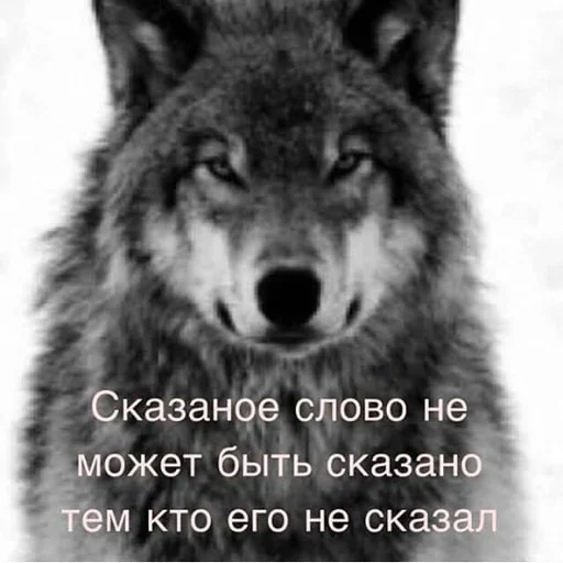 😙 Стикер «Волчья Стая» для Telegram