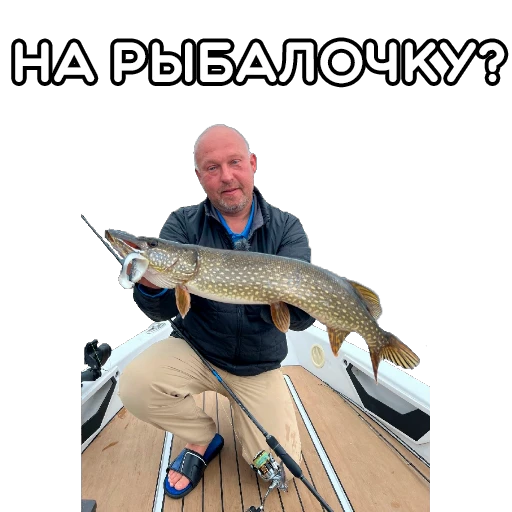 👀 Стикер «volgabaitsteam» для Telegram