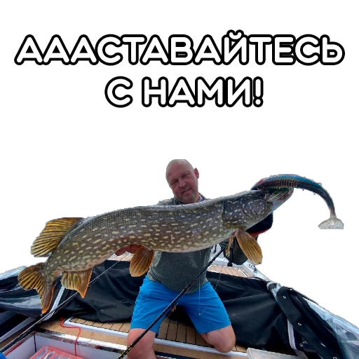 Стикерпак volgabaitsteam для Telegram
