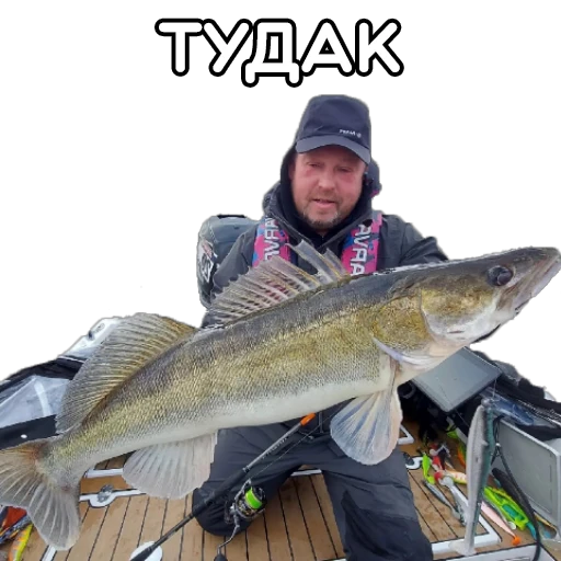 🌚 Стикер «volgabaitsteam» для Telegram