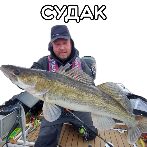 🌝 Стикер «volgabaitsteam» для Telegram