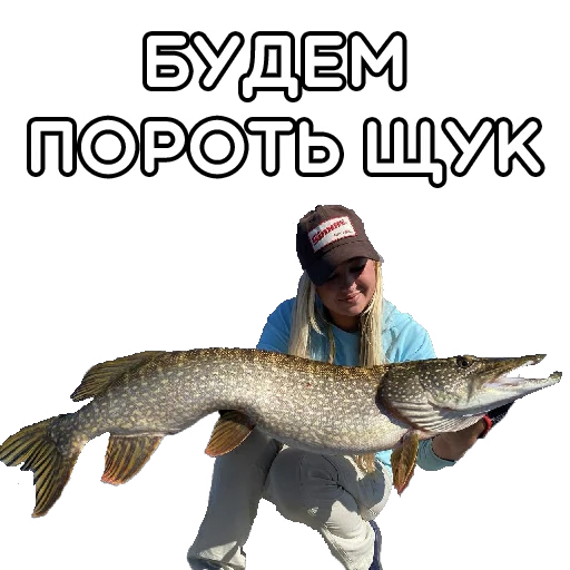 🤭 Стикер «volgabaitsteam» для Telegram