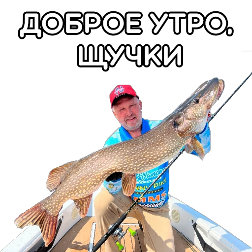 ☀️ Стикер «volgabaitsteam» для Telegram