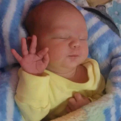 👌 Стикер «детки» для Telegram