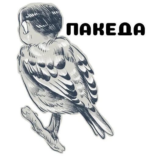 👋 Стикер «Гриша» для Telegram
