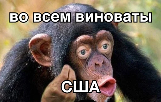 🇺🇸 Стикер «8let» для Telegram