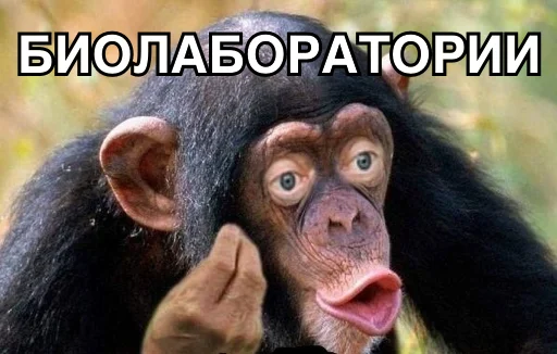 🧪 Стикер «8let» для Telegram