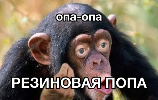 🥖 Стикер «8let» для Telegram