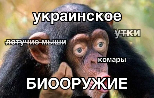 ☣️ Стикер «8let» для Telegram