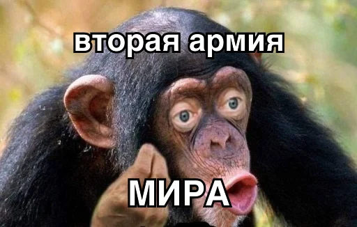 🥈 Стикер «8let» для Telegram