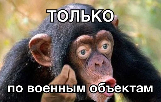 💥 Стикер «8let» для Telegram