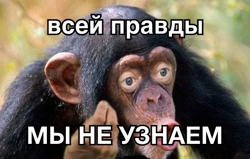 🤷‍♂️ Стикер «8let» для Telegram