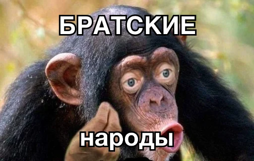 👯‍♀️ Стикер «8let» для Telegram