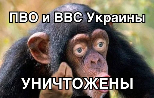 ✈ Стикер «8let» для Telegram