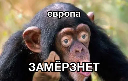 🥶 Стикер «8let» для Telegram