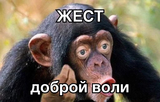 🙌 Стикер «8let» для Telegram