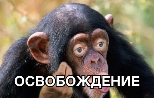 🆓 Стикер «8let» для Telegram
