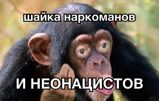 💉 Стикер «8let» для Telegram