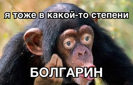 🇧🇬 Стикер «8let» для Telegram