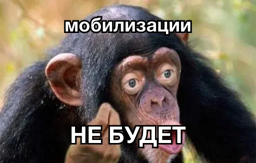 🏹 Стикер «8let» для Telegram