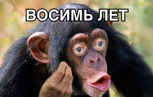 Стикерпак 8let для Telegram