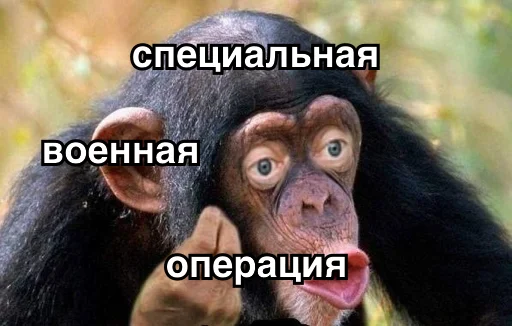 🔫 Стикер «8let» для Telegram