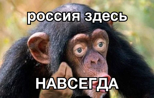 ♾ Стикер «8let» для Telegram