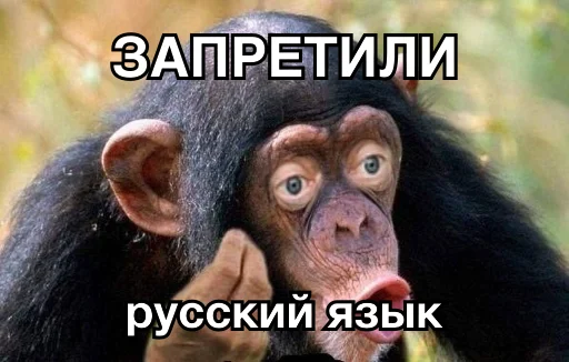 🤐 Стикер «8let» для Telegram