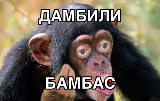 💥 Стикер «8let» для Telegram