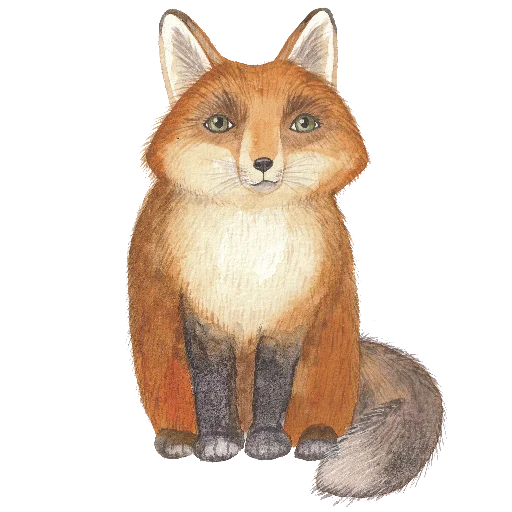🦊 Стикер «Ника Кот» для Telegram