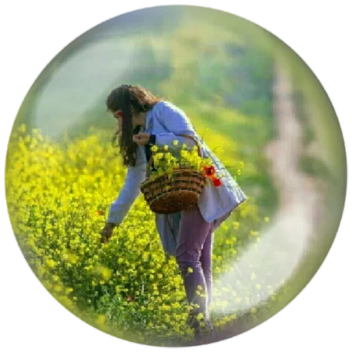 🙁 Стикер «Seasons» для Telegram