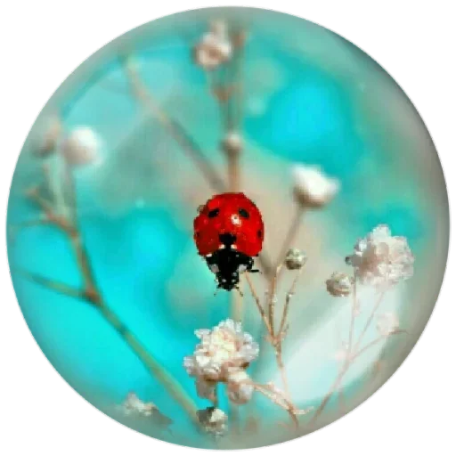 🥺 Стикер «Seasons» для Telegram