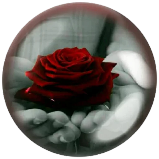 😢 Стикер «Seasons» для Telegram
